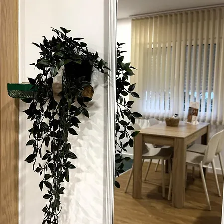 S'apartments New *